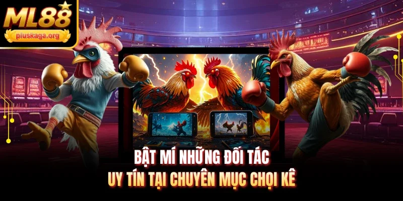 Bật mí những đối tác uy tín tại chuyên mục chọi kê