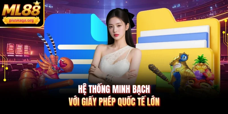 Hệ thống minh bạch với giấy phép quốc tế lớn
